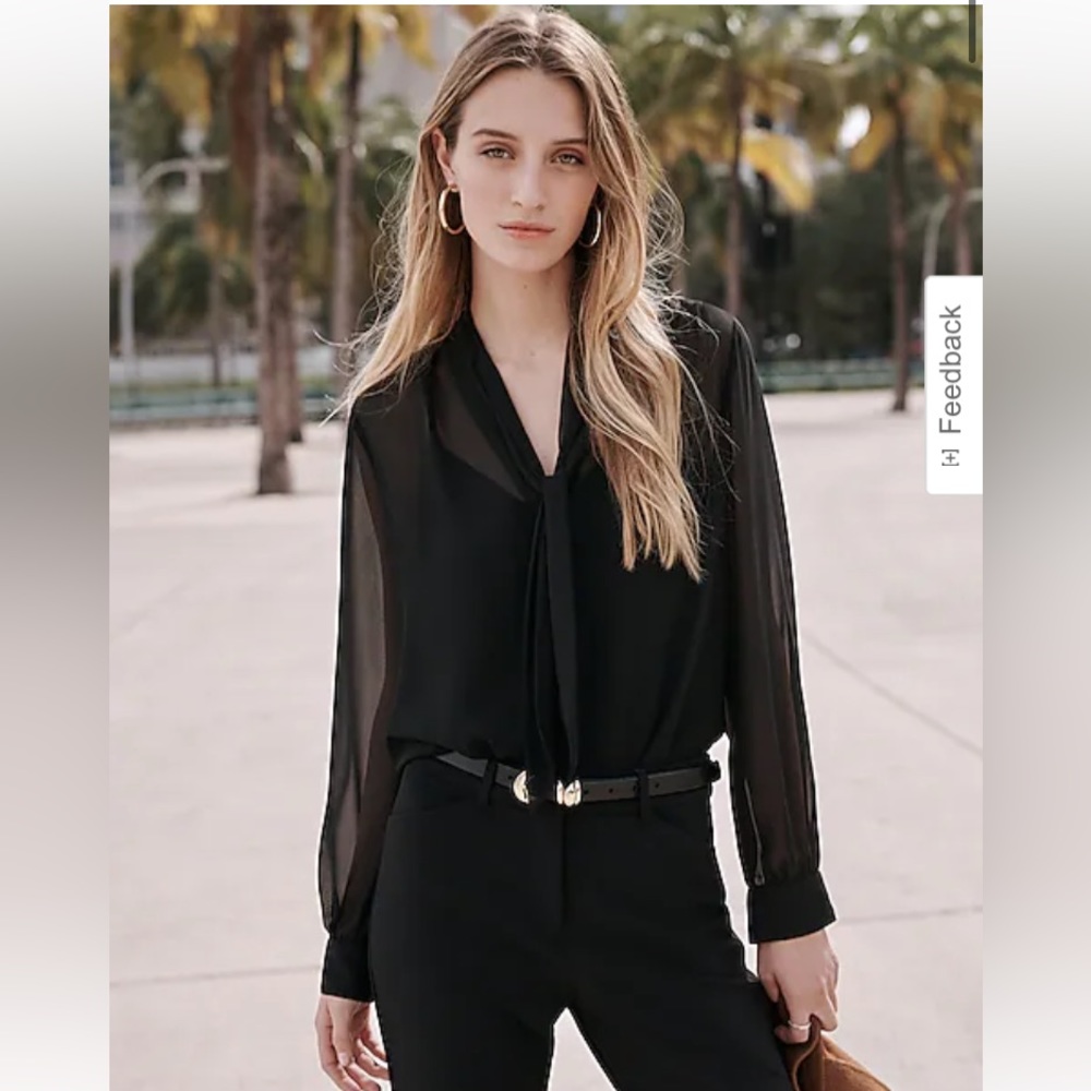 Express Sheer Long Sleeve Tie Neck Relaxed Portofino Shirt XS